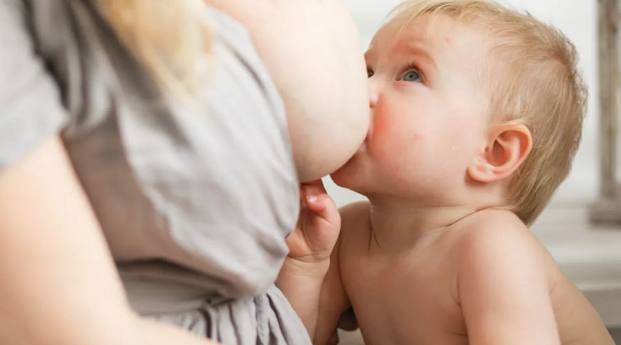 Beneficios de la lactancia materna en el desarrollo cognitivo y el rendimiento escolar