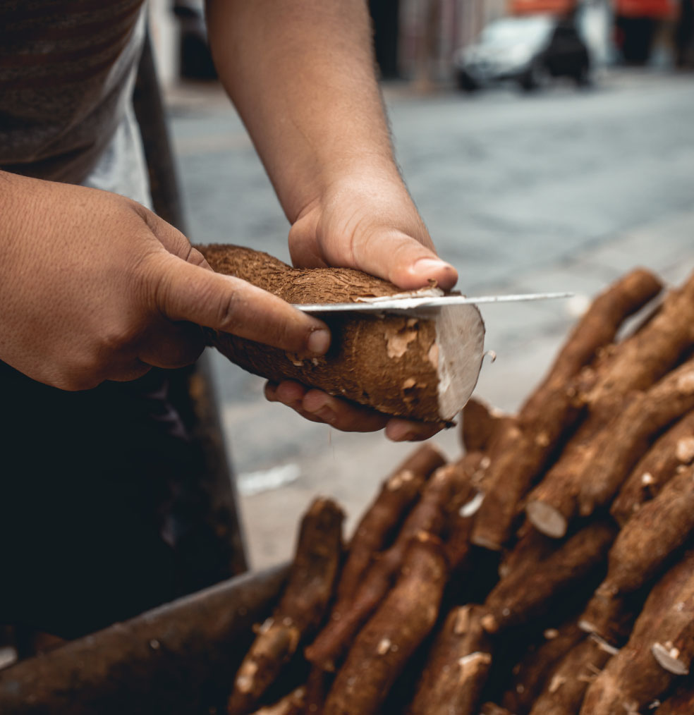 Historia y vigencia de la mandioca (Mandi'o)