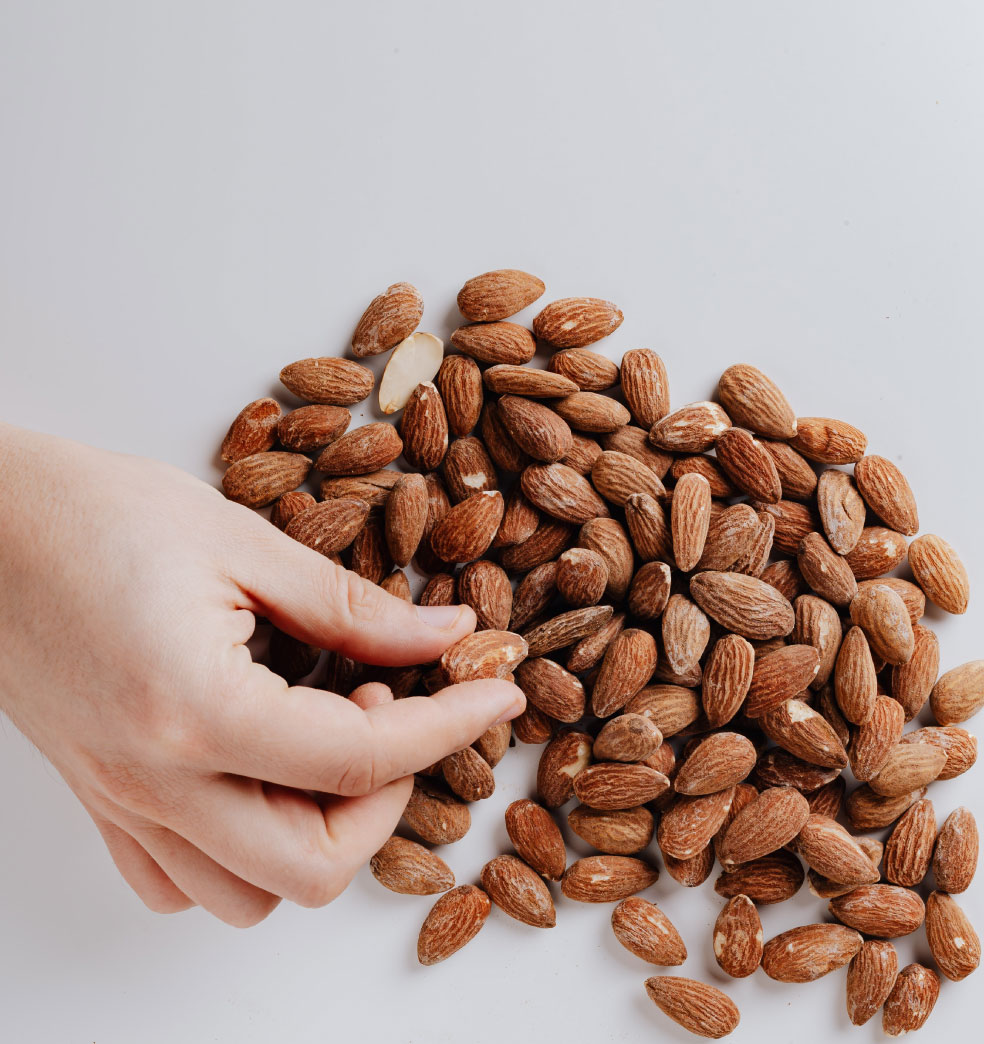 Comidas saludables para bajar de peso